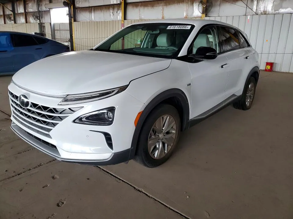 2019 Hyundai Nexo VIN KM8J74A65KU003431 фото 1