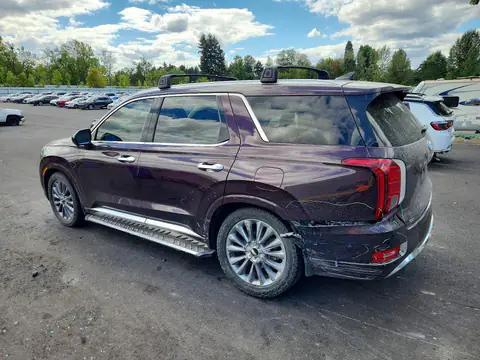 KM8R5DHEXLU165501 — 2020 Hyundai Palisade, фото 2 с аукциона Copart 14.10.2026, Задняя часть