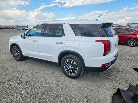 2020 Hyundai Palisade VIN KM8R2DHE0LU094575 фото 2
