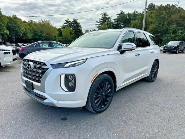 KM8R5DHE1LU107910 — 2020 Hyundai Palisade, Мелкие вмятины и царапины (Minor Dent/Scratches), фото до ремонта