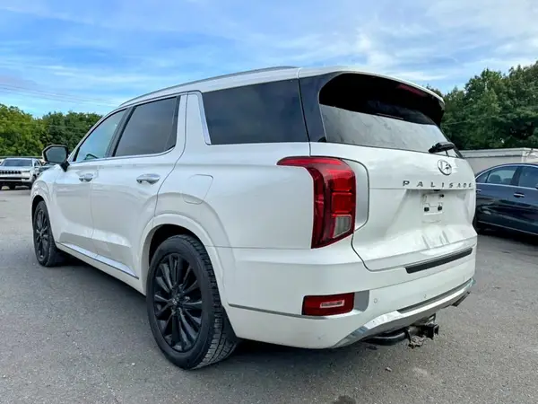 KM8R5DHE1LU107910 — 2020 Hyundai Palisade, фото 2 с аукциона Copart 14.10.2026, Мелкие вмятины и царапины