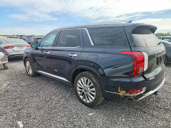 KM8R54HE2LU124165 — 2020 Hyundai Palisade, фото 2 с аукциона Copart, Боковая часть