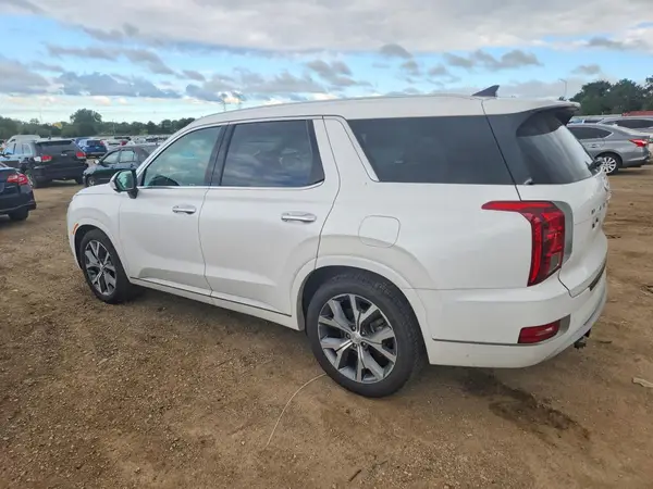 KM8R5DHE5MU174933 — 2021 Hyundai Palisade, фото 2 с аукциона Copart, Боковая часть