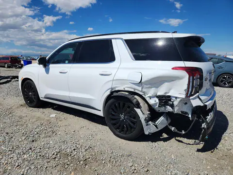 2024 Hyundai Palisade VIN KM8R7DGE7RU746524 фото 2