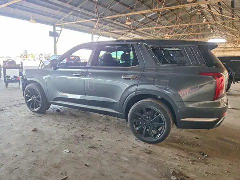 2025 Hyundai Palisade VIN KM8R44GE8SU916596 фото 2