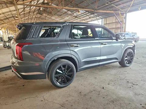 2025 Hyundai Palisade VIN KM8R44GE8SU916596 фото 3