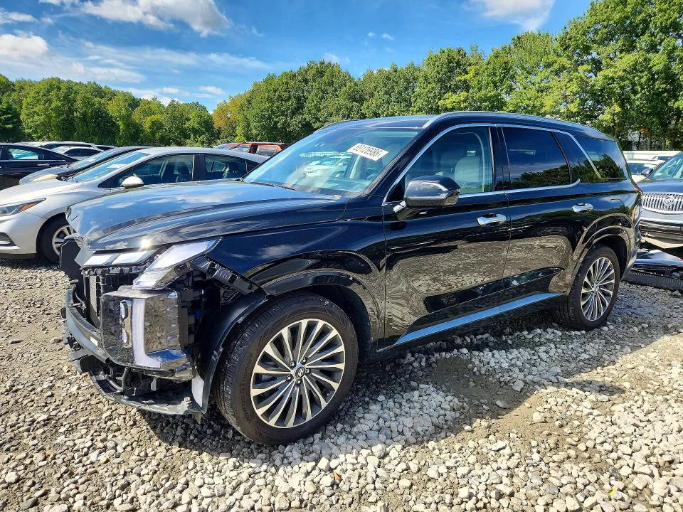 2025 HYUNDAI PALISADE VIN KM8R7DGE4SU917526 фото 1