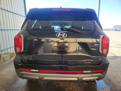 2025 Hyundai Palisade Sel VIN KM8R2DGE8SU902963 фото 6