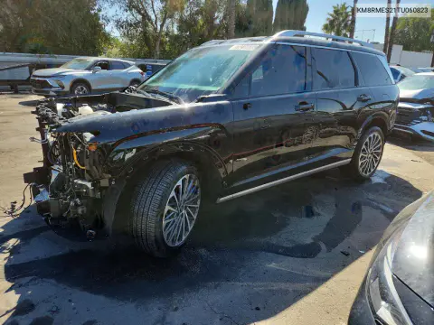 KM8RMES21TU060823 — 2026 Hyundai Palisade, Снята обшивка, фото до ремонта