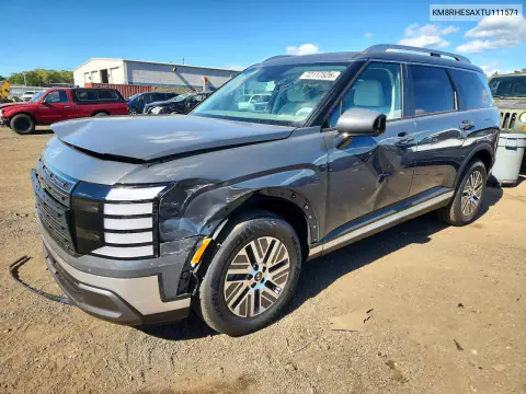 2026 Hyundai Palisade Sel Premium VIN KM8RHESAXTU111571 фото 1