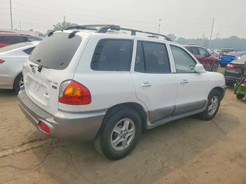 2004 HYUNDAI SANTA FE VIN KM8SC13EX4U705363 фото 3