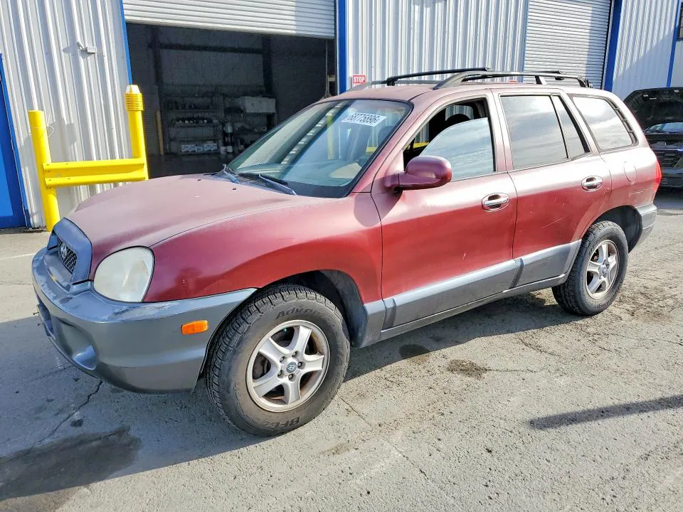 2004 HYUNDAI SANTA FE VIN KM8SC13E34U585387 фото 1