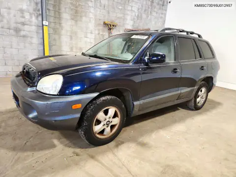2005 Hyundai Santa Fe Gls VIN KM8SC73D95U012957 фото 1