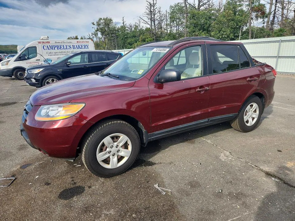 2009 HYUNDAI SANTA FE VIN 5NMSG13DX9H316995 фото 1