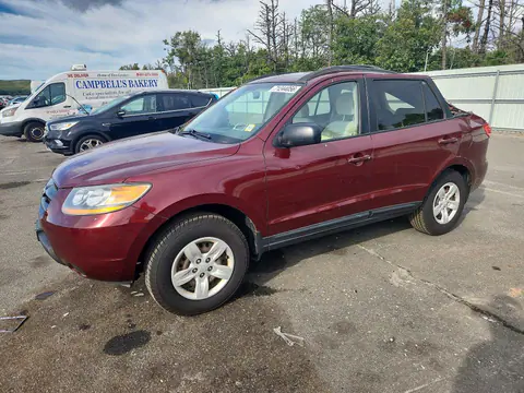 2009 HYUNDAI SANTA FE VIN 5NMSG13DX9H316995 фото 1