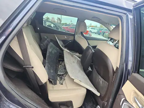 5NMZUDLBXHH034037 — 2017 Hyundai Santa FE, фото 11 с аукциона Copart, Переворот