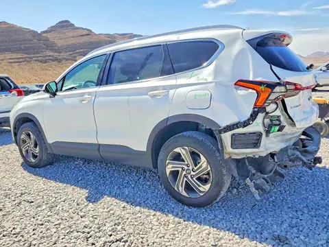 2023 Hyundai Santa Fe VIN 5NMS2DAJ8PH491705 фото 2