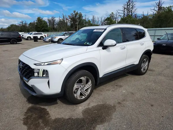5NMS2DAJ6PH553117 — 2023 Hyundai Santa FE, Задняя часть (Rear End), фото до ремонта