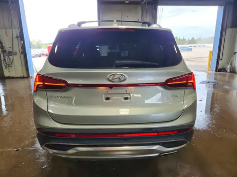 2023 Hyundai Santa Fe Sel Premium VIN 5NMS3DAJXPH550914 фото 6