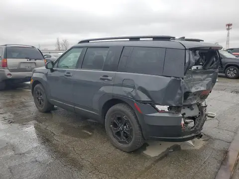 2025 Hyundai Santa Fe VIN 5NMP3DGL3SH109049 фото 2