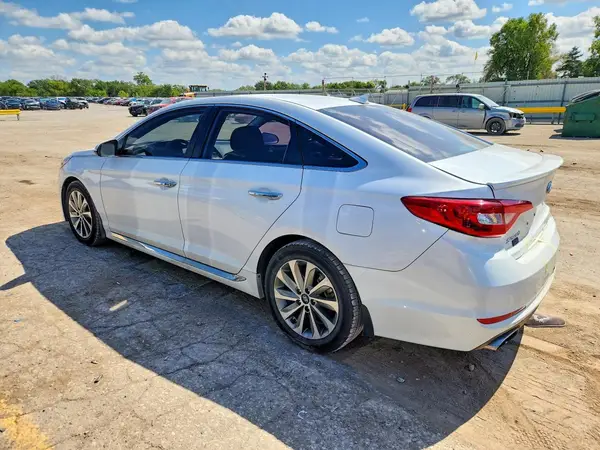5NPE34AF5GH316353 — 2016 Hyundai Sonata, фото 2 с аукциона Copart, Задняя часть