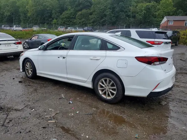 5NPE24AF7JH684964 — 2018 Hyundai Sonata, фото 2 с аукциона Copart 13.10.2026, Вандализм