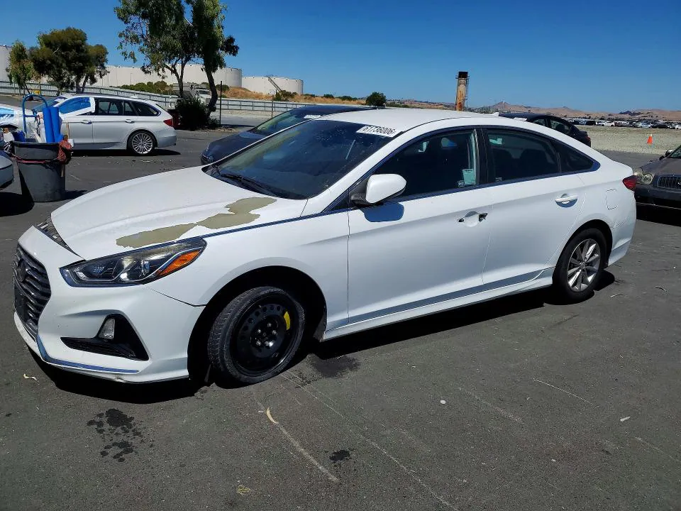 2019 Hyundai Sonata VIN 5NPE24AF3KH736057 фото 1