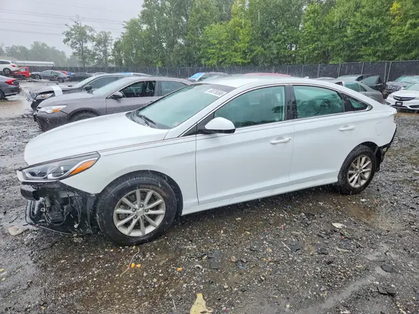 5NPE24AF3KH789843 — 2019 Hyundai Sonata, Задняя часть (Rear End), фото до ремонта