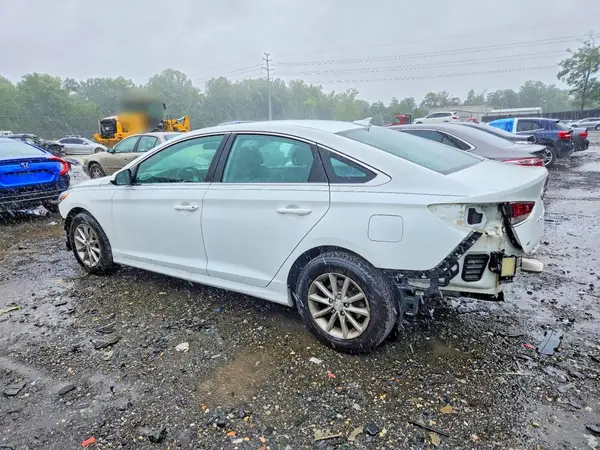 5NPE24AF3KH789843 — 2019 Hyundai Sonata, фото 2 с аукциона Copart, Задняя часть