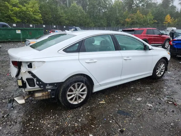 5NPE24AF3KH789843 — 2019 Hyundai Sonata, фото 3 с аукциона Copart, Задняя часть