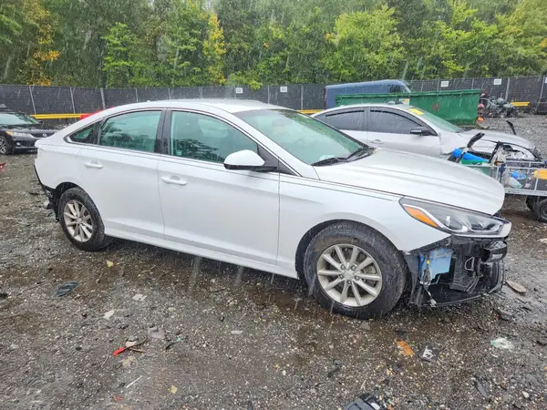5NPE24AF3KH789843 — 2019 Hyundai Sonata, фото 4 с аукциона Copart, Задняя часть