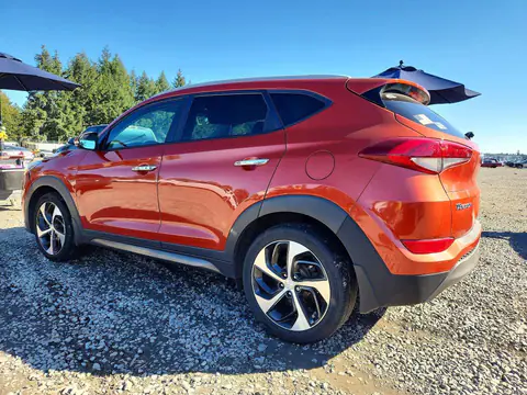 2016 Hyundai Tucson VIN KM8J3CA25GU143487 фото 2