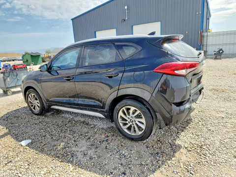2017 Hyundai Tucson VIN KM8J33A41HU419599 фото 2