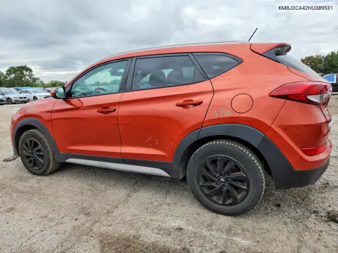 2017 Hyundai Tucson Se VIN KM8J3CA42HU389531 фото 2