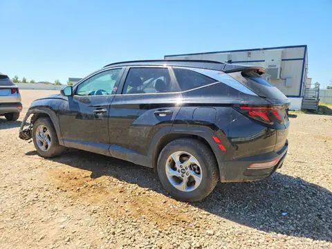 2024 Hyundai Tucson VIN 5NMJBCDEXRH368723 фото 2