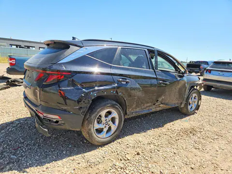 2024 Hyundai Tucson VIN 5NMJBCDEXRH368723 фото 3