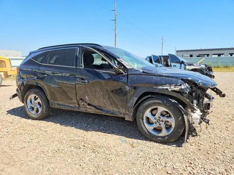 2024 Hyundai Tucson VIN 5NMJBCDEXRH368723 фото 4