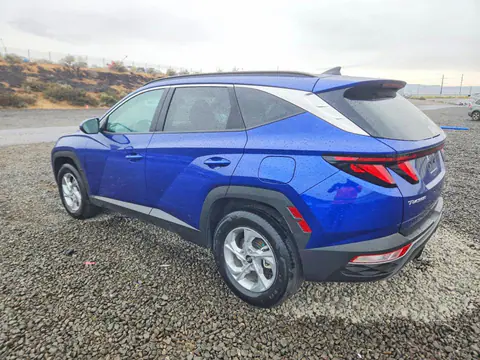2024 Hyundai Tucson VIN 5NMJBCDE9RH318038 фото 2