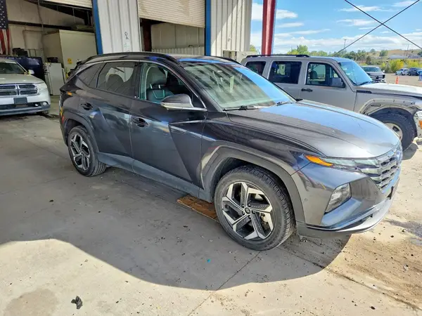 5NMJECDEXRH305564 — 2024 Hyundai Tucson, фото 4 с аукциона Copart, Град