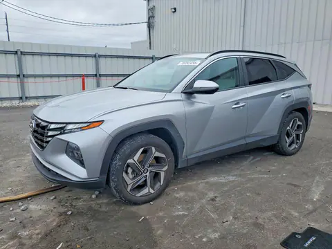 5NMJF3DE9RH303169 — 2024 Hyundai Tucson, Задняя часть (Rear End), фото до ремонта