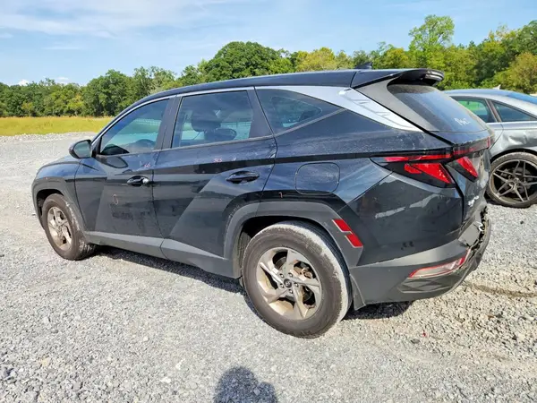 5NMJA3DE4RH341505 — 2024 Hyundai Tucson, фото 2 с аукциона Copart, Задняя часть