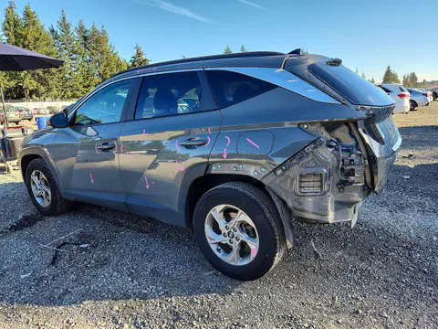 5NMJBCDE1RH341247 — 2024 Hyundai Tucson, фото 2 с аукциона Copart 13.10.2026, Задняя часть