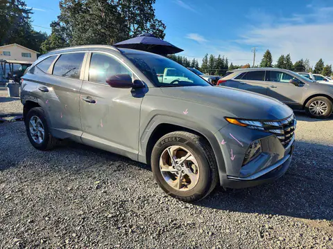 5NMJBCDE1RH341247 — 2024 Hyundai Tucson, фото 4 с аукциона Copart 13.10.2026, Задняя часть
