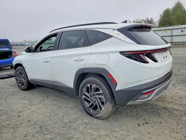 2025 HYUNDAI TUCSON VIN KM8JEDD15SU290095 фото 2