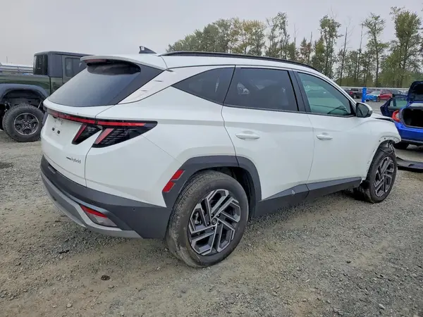 2025 HYUNDAI TUCSON VIN KM8JEDD15SU290095 фото 3