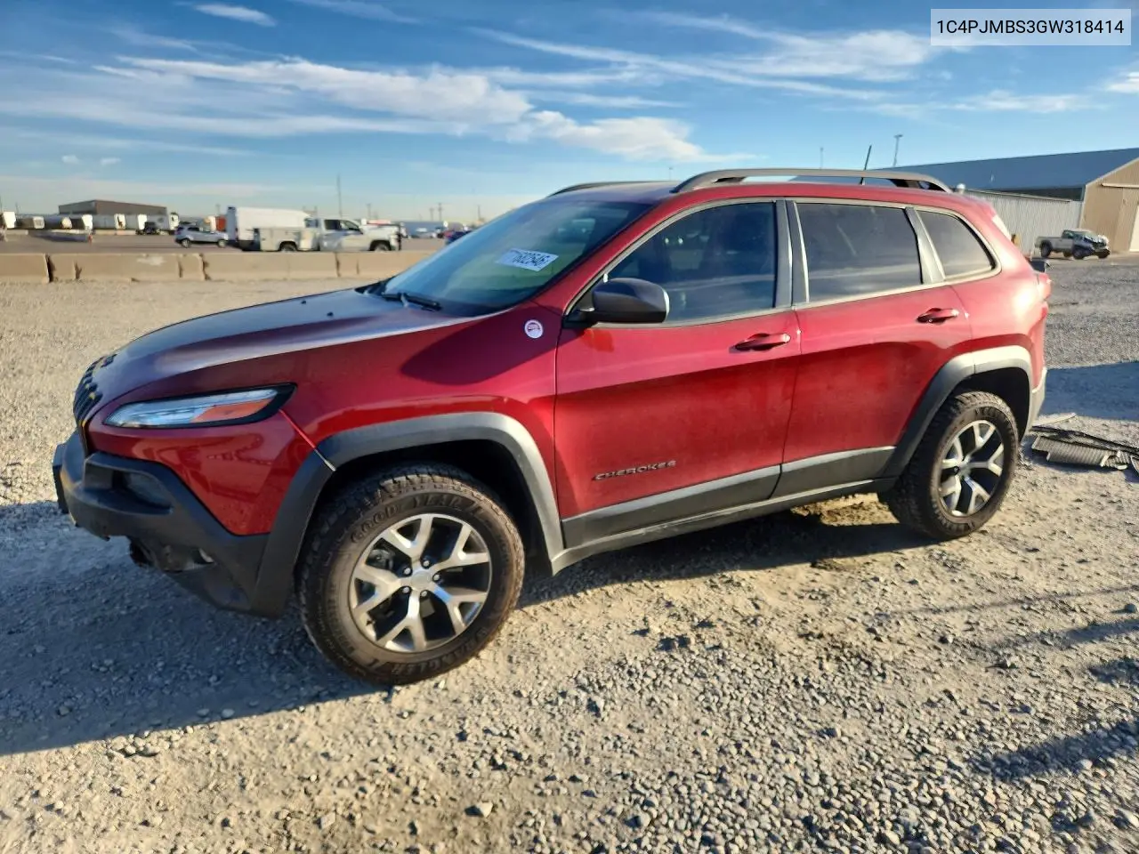 2016 Jeep Cherokee Trailhawk VIN 1C4PJMBS3GW318414 фото 1