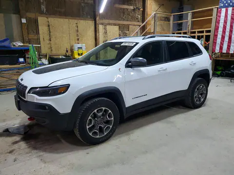 1C4PJMBX0LD613004 — 2020 Jeep Cherokee, Град (Hail), фото до ремонта