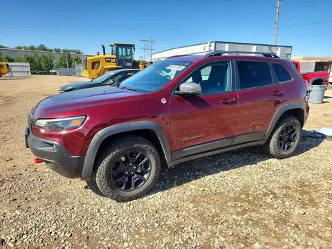 1C4PJMBX0LD627128 — 2020 Jeep Cherokee, Град (Hail), фото до ремонта