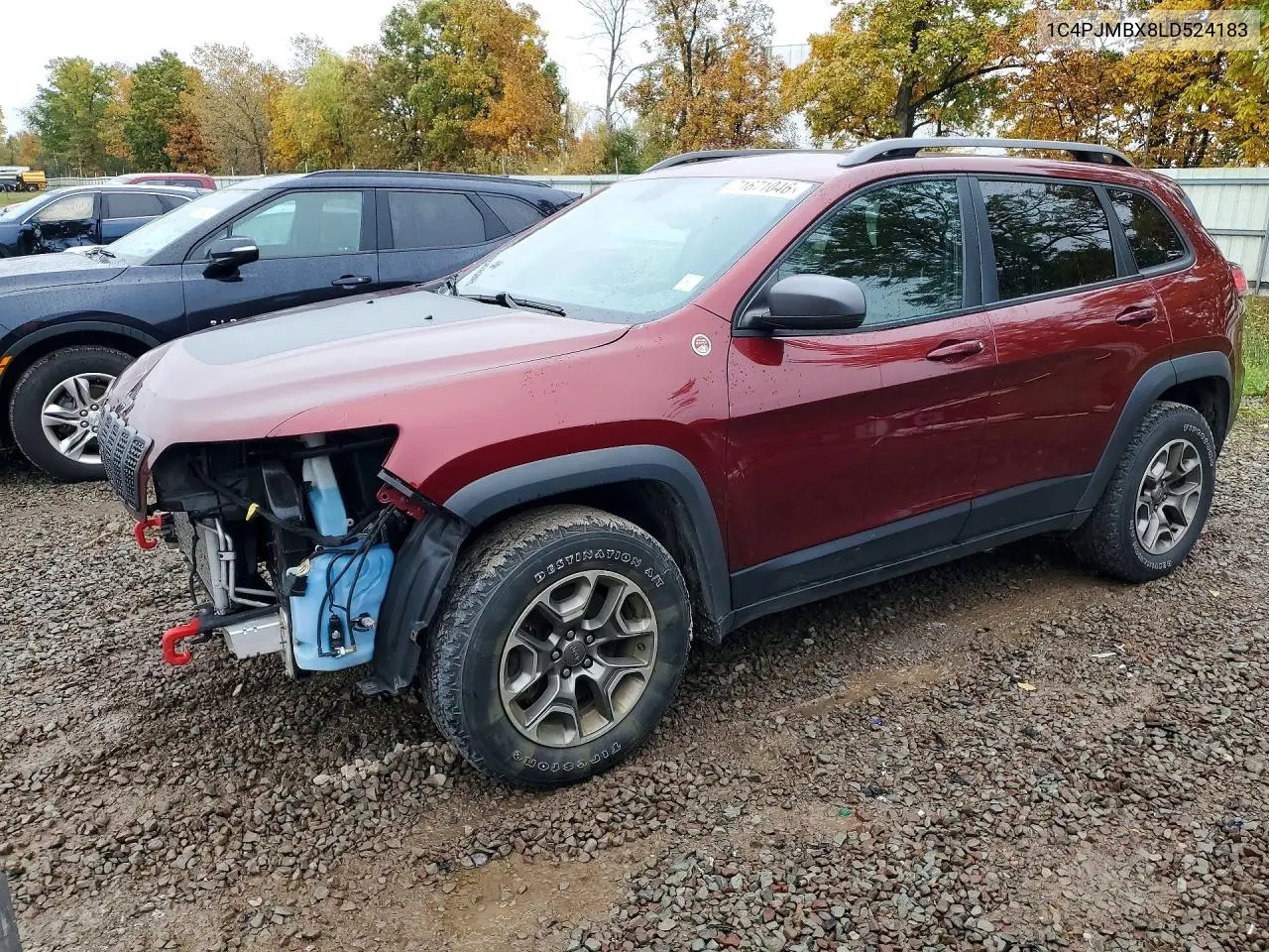 2020 Jeep Cherokee Trailhawk VIN 1C4PJMBX8LD524183 фото 1