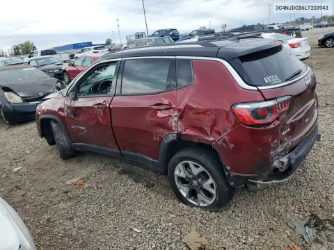 2020 Jeep Compass Limited VIN 3C4NJDCB6LT203943 фото 2